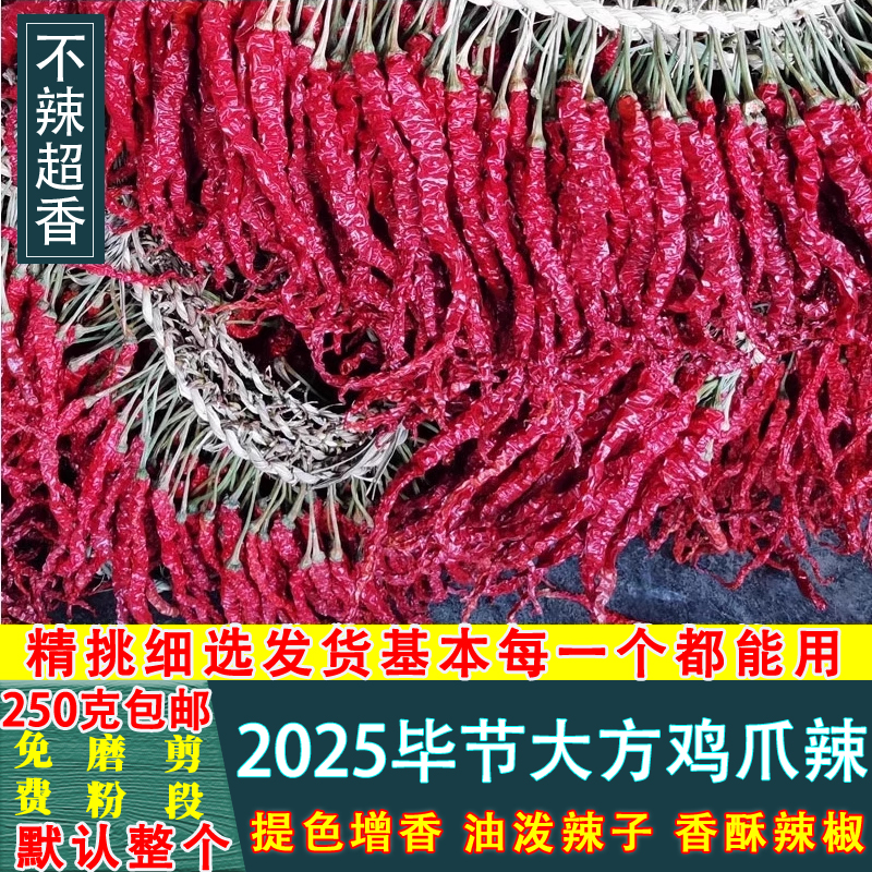 贵州毕节辣椒大方邹长鸡爪微辣