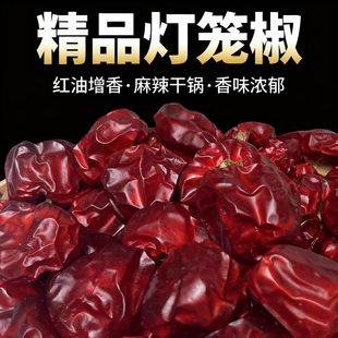 精品贵州灯笼椒500g干辣椒香辣辣椒微辣特香贵州特产优质辣椒