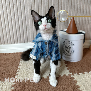 德文猫衣服无毛猫衣服柔软棉制潮牌 原创设计师牛仔衬衫 HOiii PET