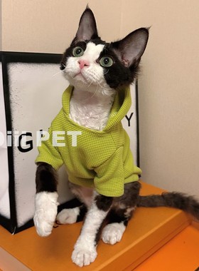 HOiii PET 原创潮牌保暖华夫格德文衣服无毛猫衣服加厚猫卫衣