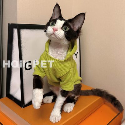 HOiii PET 原创潮牌保暖华夫格德文衣服无毛猫衣服加厚猫卫衣