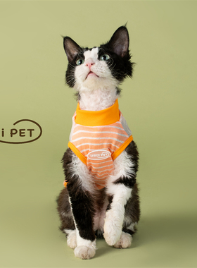 HOiii PET夏季可爱网眼凉凉衣德文猫衣服薄款无毛猫背心透气好穿