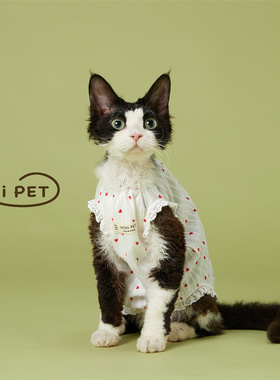 HOiii PET 韩版小爱心碎花裙德文猫衣服纯棉无毛猫背心裙可爱透气