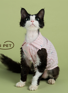 HOiii PET刺绣条纹小马衬衫德文猫衣服透气无毛猫衣服夏季空调服