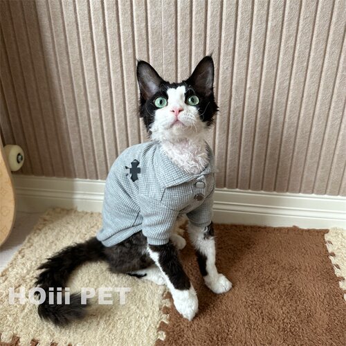 HOiii PET 潮牌华夫格POLO衫德文无毛猫衣服十字架卫衣春夏薄款