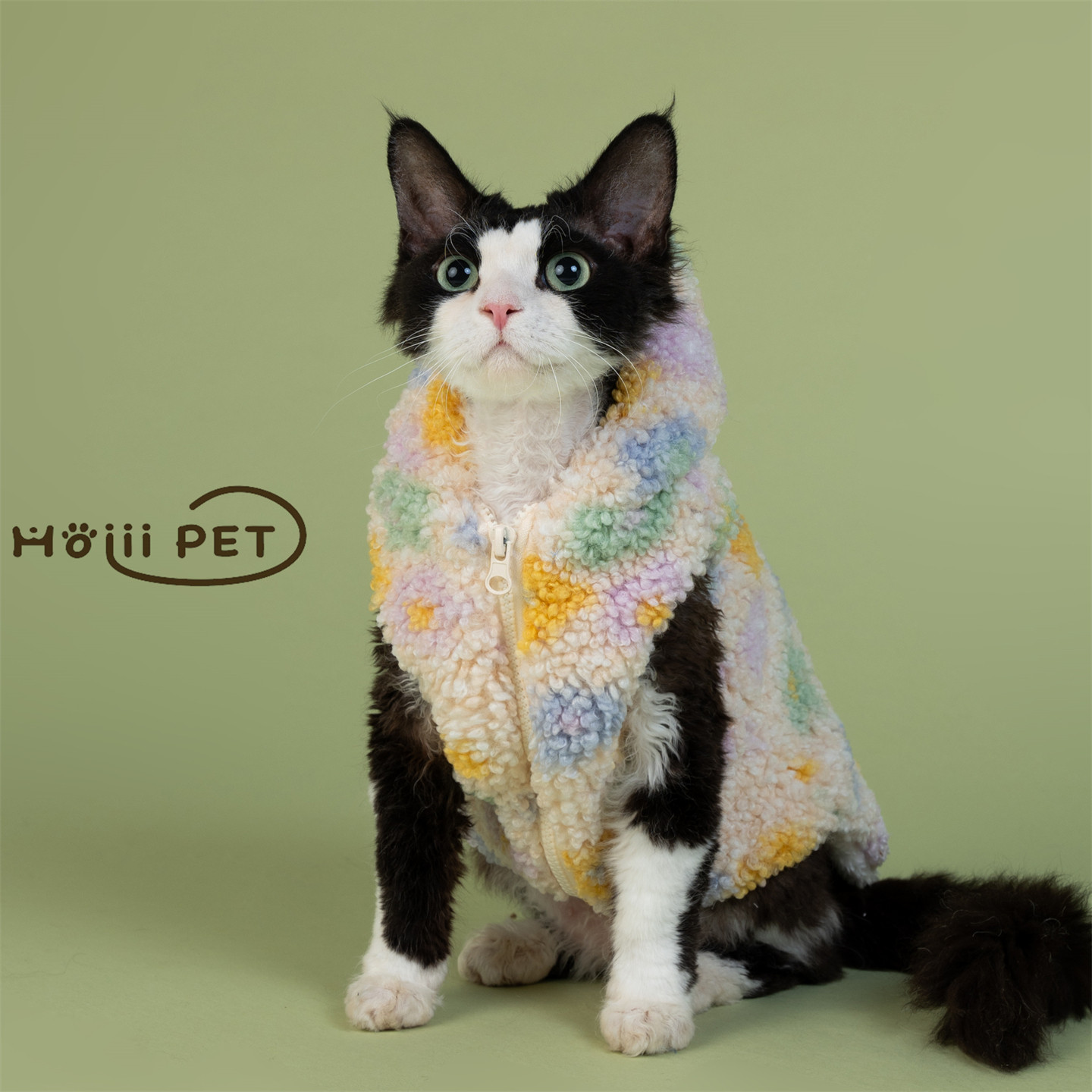 HOiii PET彩色小花羊羔绒连帽外套德文猫衣服加厚保暖无毛猫马甲,宠物/宠物食品及用品,猫宠物服装/雨衣（新）,淘宝优惠券,粉丝福利购,淘宝优惠卷