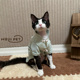 德文猫衣服竹叶提花无毛猫衣服薄款 HOiii 开衫 新中式 透气好穿 PET