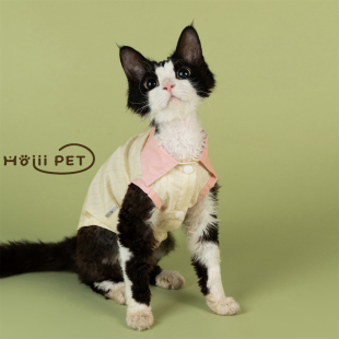 HOiii PET可爱拼色条纹衬衫德文猫衣服无毛猫阿比夏季好穿