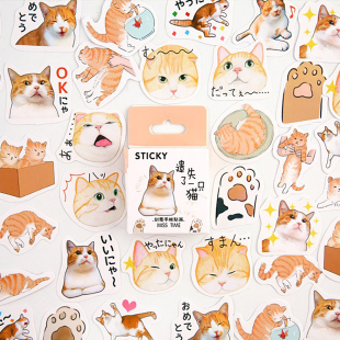 拾光盒装贴纸 遗失了一只猫 可爱猫咪喵星人DIY手账装饰不干胶贴