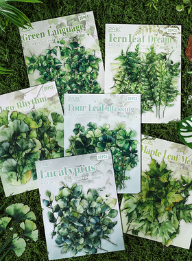 森林叶影PET贴纸包 清新绿色植物树叶银杏四叶草手账装饰防水贴画