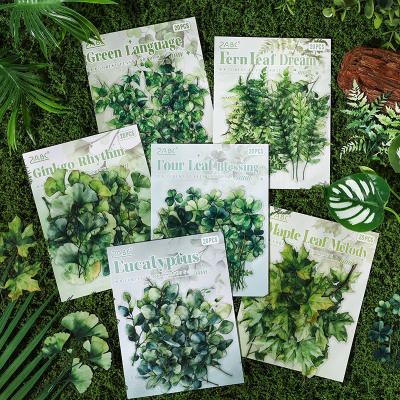 森林叶影PET贴纸包 清新绿色植物树叶银杏四叶草手账装饰防水贴画