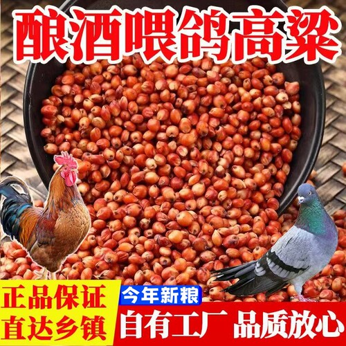 红高粱米喂鸽子喂鸟鹦鹉通用鸽粮