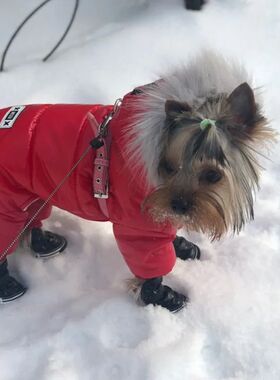 New Russia Winter Pet Dog Clothes Warm Pet Plush Coat Jacket