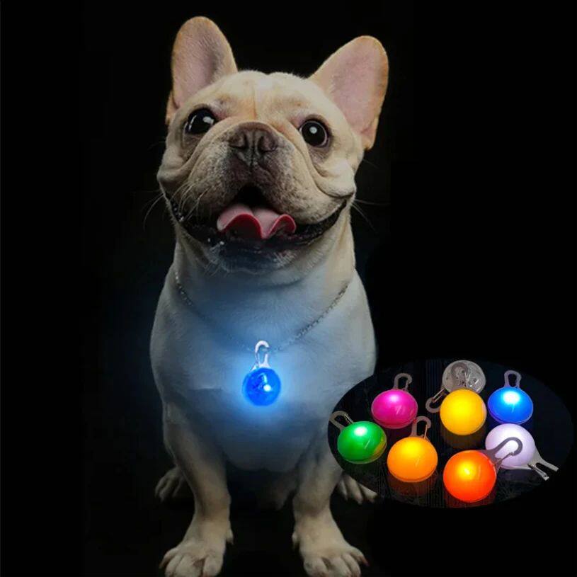 Led Dog Collar Drop Replaced Ornament Tag Luminus Anti Lost