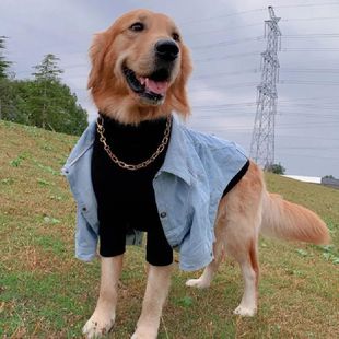 Winter Dog Clothes Denim Jeans Coat Jacket Small Big Large D