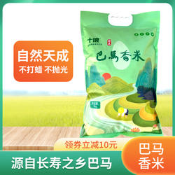 十琅 巴马香米5kg/袋 广西农家自种现磨新米大米