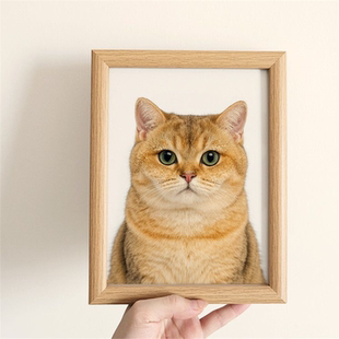 定制图片宠物证件照猫咪狗狗生日纪念相框可爱摆件装饰摆台