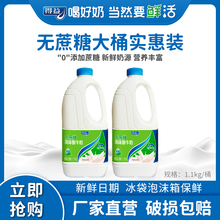 整箱1.1kg 得益无蔗糖大瓶桶酸奶桶装 桶箱无蔗糖风味酸牛奶