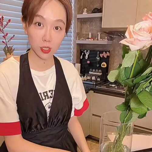 小红书小红婶姜妍年夜饭同款礼服围裙防水围裙花艺烘焙挂脖工作服