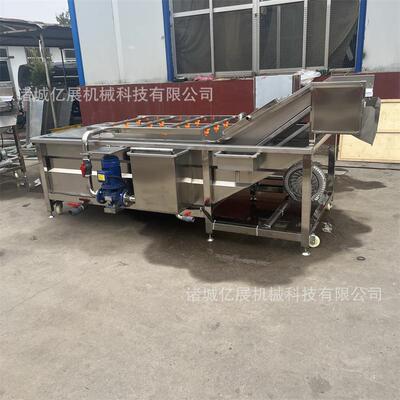 全自动菠钢菜清油菜气泡清洗设YKX备不锈芥菜蓝花气西泡洗机