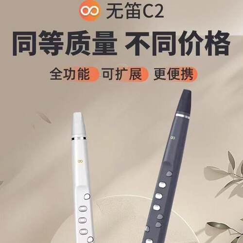 无笛oodiC2电吹管迷你笛子初学