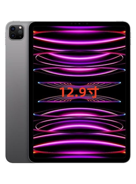 Apple/苹果 12.9 英寸 iPad Pro 2022款 M2芯片 平板电脑顺丰包邮