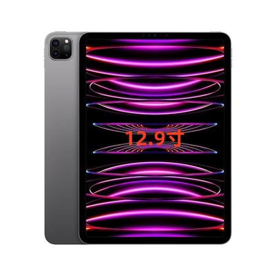 Apple/苹果 12.9 英寸 iPad Pro 2022款 M2芯片 平板电脑顺丰包邮
