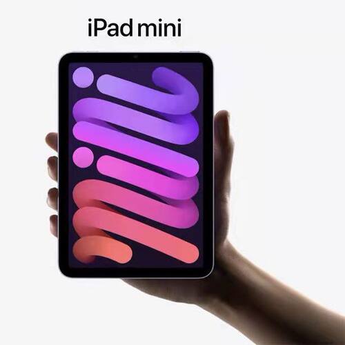 Apple/苹果 iPad mini 2024款6代平板电脑正品8.3寸学习顺丰外版