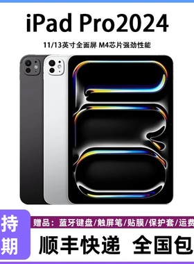 Apple/苹果 11 英寸 iPad Pro - 标准玻璃面板2024款平板电脑正品