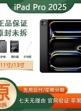 Apple/苹果 11 英寸 iPad Pro (2025)