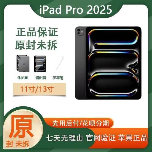 Apple/苹果 11 英寸 iPad Pro (2025)