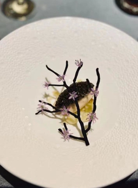 树杈树干树枝法餐甜品脆片点缀硅胶烘焙模具蕾丝垫镂空创意菜装饰