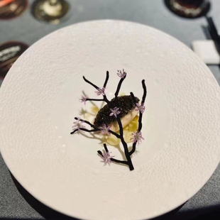 树杈树干树枝法餐甜品脆片点缀硅胶烘焙模具蕾丝垫镂空创意菜装饰