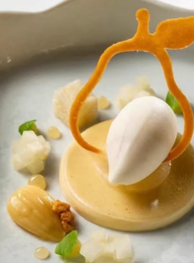 苹果梨脆片硅胶装饰甜品点缀磨具创意甜品法餐盘饰分子料理模具