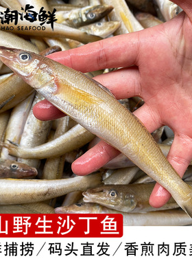舟山海捕ye生深海尖嘴鱼 新鲜黄沙丁鱼 1斤12条左右 冻发