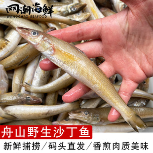 舟山海捕ye生深海尖嘴鱼 新鲜黄沙丁鱼 1斤12条左右 冻发