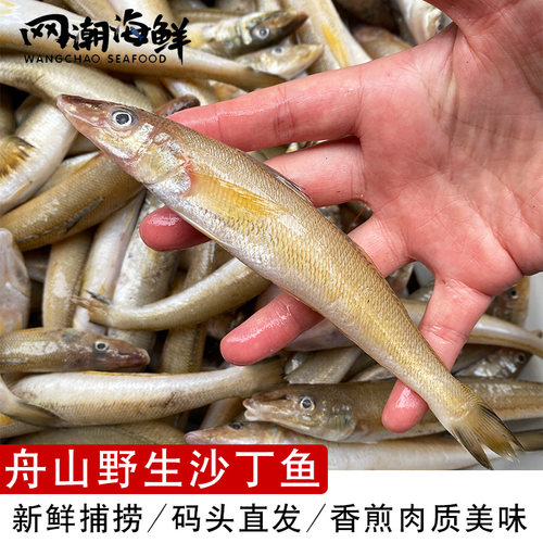 舟山海捕ye生深海尖嘴鱼 新鲜黄沙丁鱼 1斤12条左右 冻发