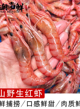 舟山本地野生红虾 东海红头虾海虾新鲜红虾 4月新货3斤包邮