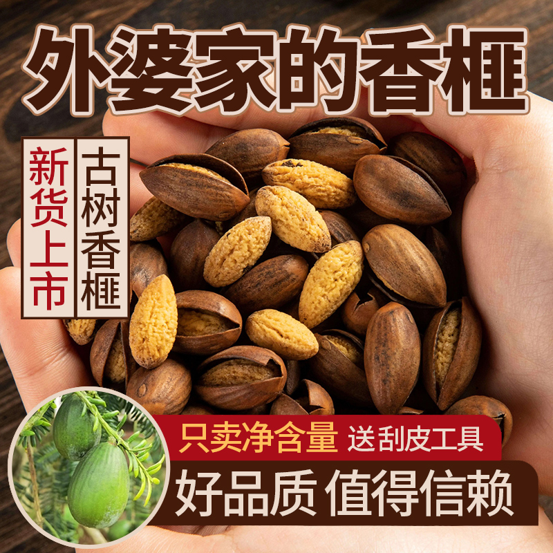 高山自然生长原生态古树香榧包邮