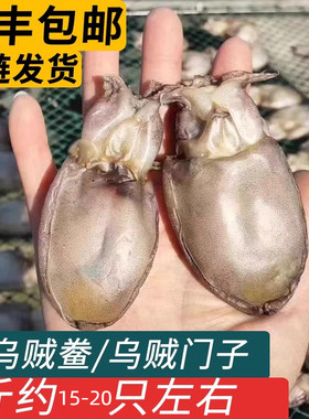 舟山特产乌贼门子鱼鲞渔民自晒
