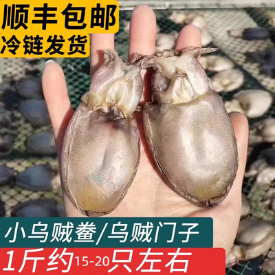 舟山特产乌贼门子鱼鲞渔民自晒