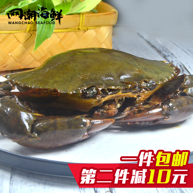 舟山宁波特产 秘制鲜活野生 红膏酱香咸呛蟹 三门酱青蟹包邮