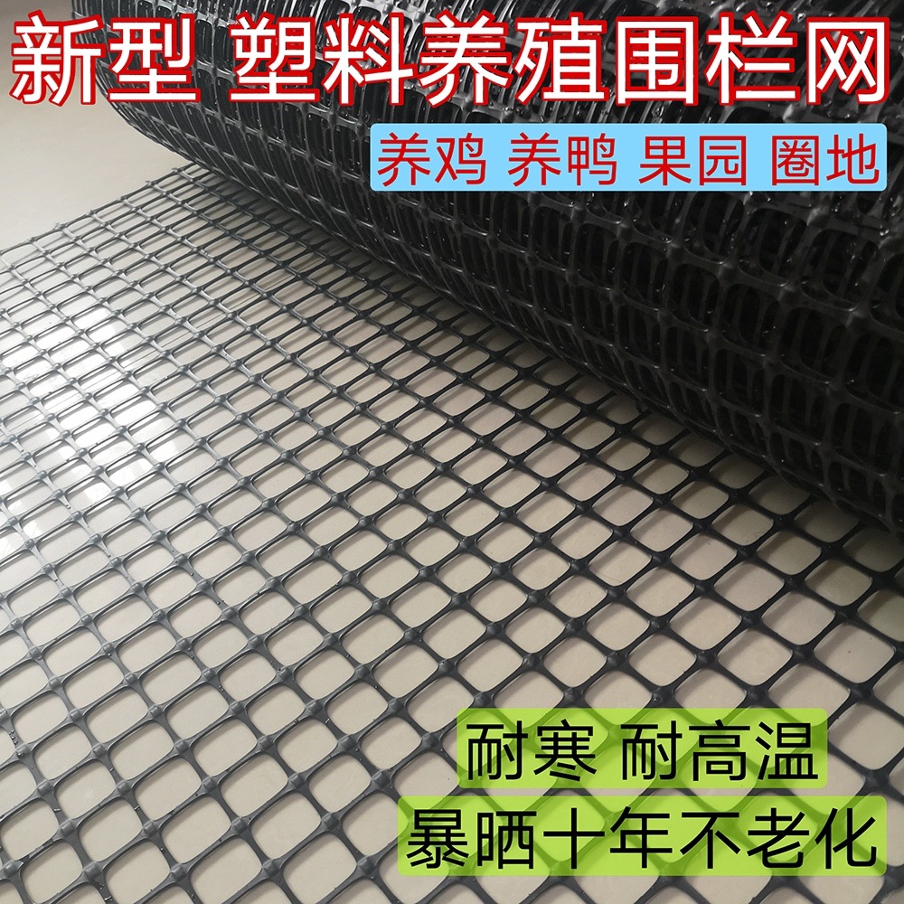 大棚风口防兜雨网小孔加厚防鸟网
