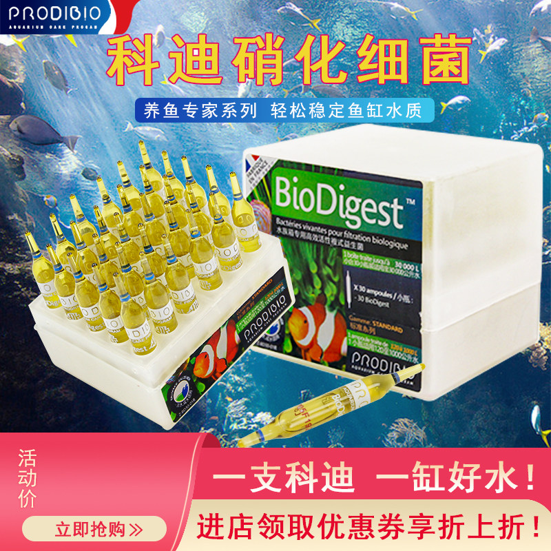 科迪硝化细菌水族鱼缸净水剂稳定
