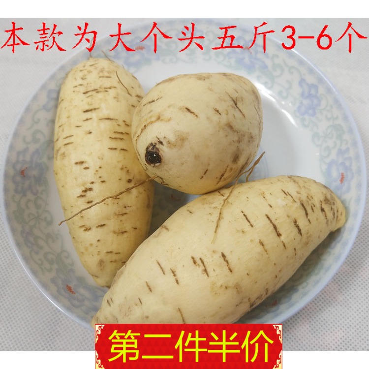 板栗红薯白皮鸡蛋黄地瓜新鲜番薯地瓜山芋红薯大个头5斤包邮