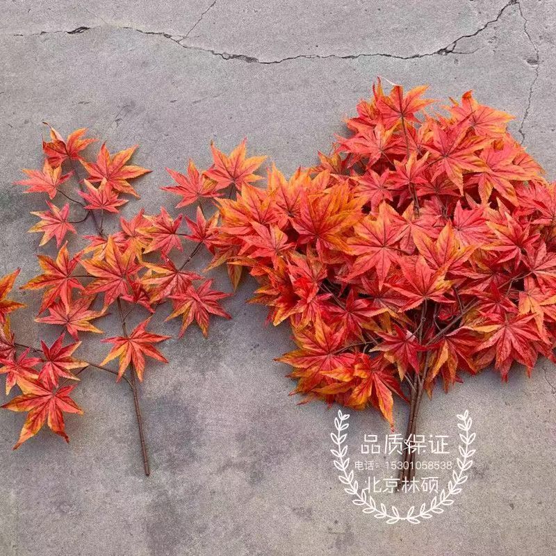仿真园林梧桐树红枫叶
