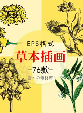 中药手绘草本药物线稿插图植物化妆品面膜成分矢量包装设计素材