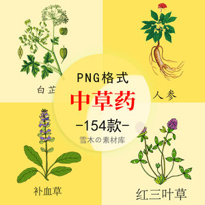 手绘线描中草药花草草本植物中医药材海报装饰PNG免扣设计素材