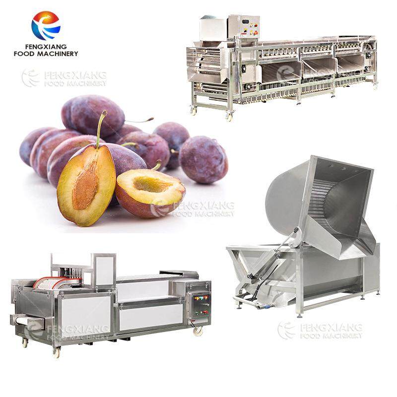 大型商用西梅去核机全自动杏子取核分瓣机去芯切瓣一体机,清洗/食品/商业设备,其他食品加工设备,淘宝优惠券,粉丝福利购,淘宝优惠卷
