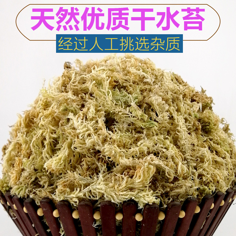 贵州优质水苔蝴蝶兰换盆专用植料